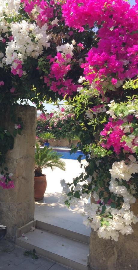فيلا Casa Santos Kyrenia كيرينيا المظهر الخارجي الصورة
